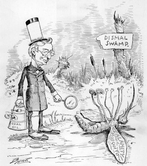 Kerosene Kills Mosquitos Professor Charles A. Towne has killed the Calamity Mosquito with Coal Oil and a magnifying glass