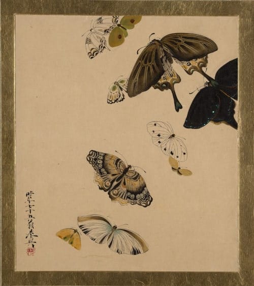 Mariposas – Laqueado por Shibata Zeshin (1881), para Mariposas, por Lafcadio Hearn